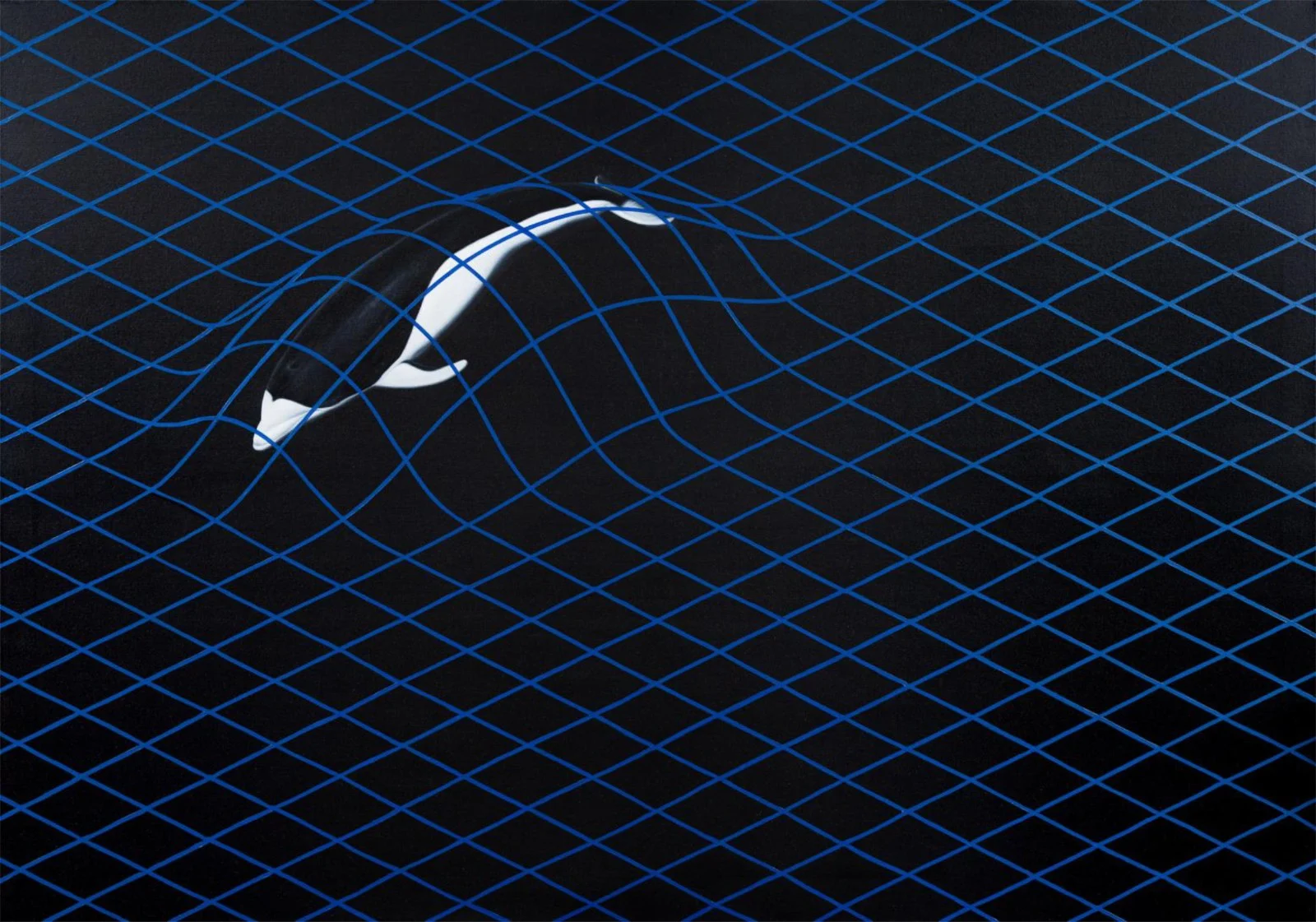 Southern Right Whale Dolphin Bound to Spacetime, 2020. Painting on canvas, 120 × 170 cm.