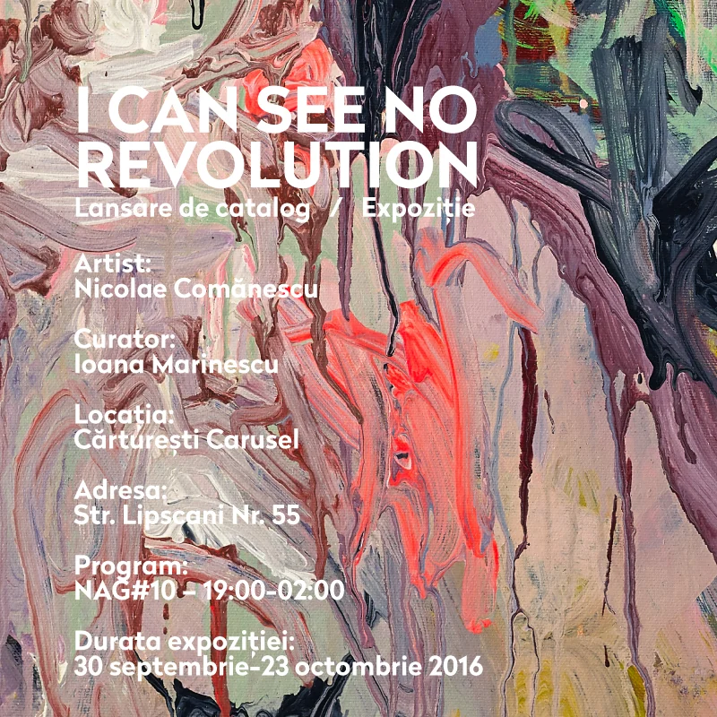 Nicolae Comănescu — I can see no revolution + lansare catalog