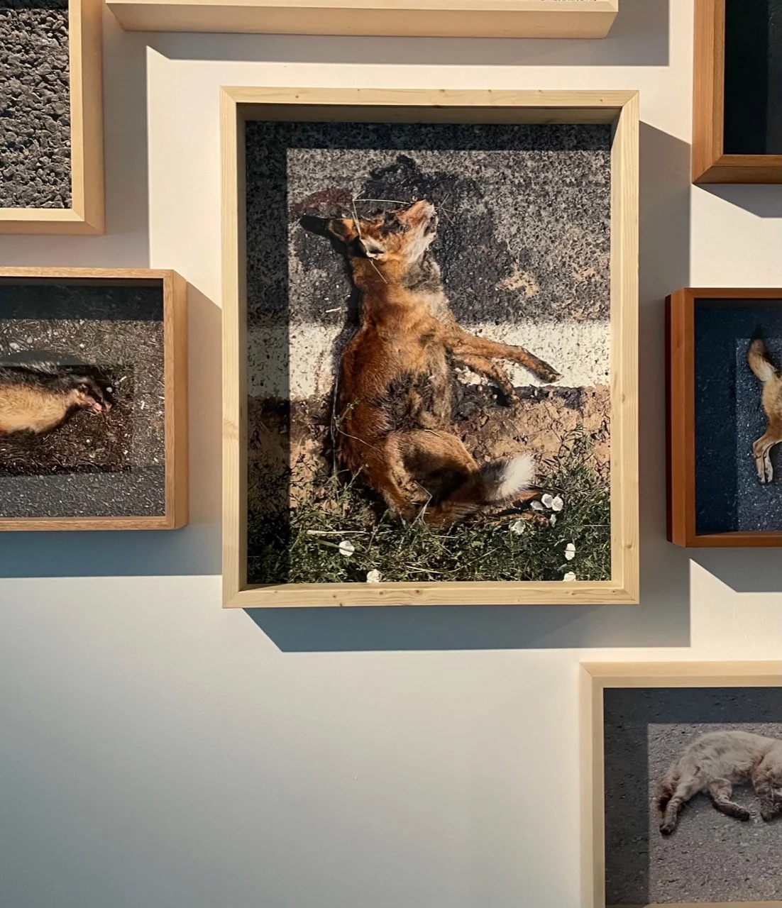 Vedere din expoziție. Documentare vizuală: PropagArta / H’art