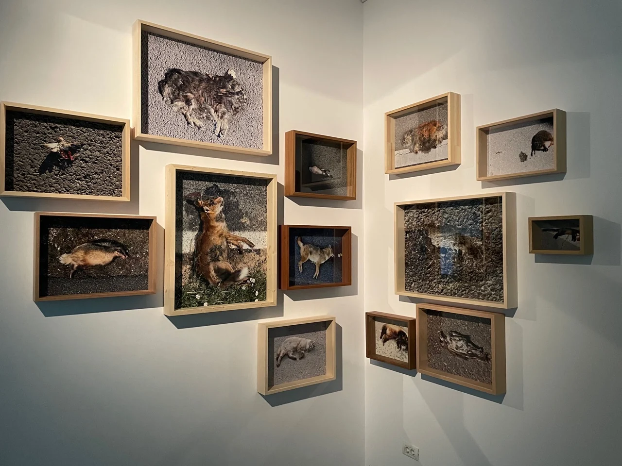 Vedere din expoziție. Documentare vizuală: PropagArta / H’art
