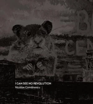 Coperta albumului: I can see no revolution